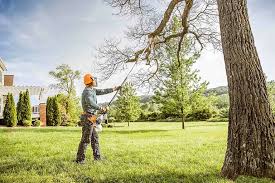 Best Soil Testing and Treatment  in Loves Park, IL